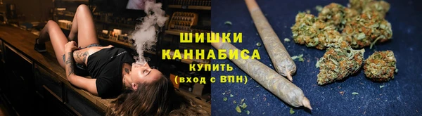 трава Арсеньев