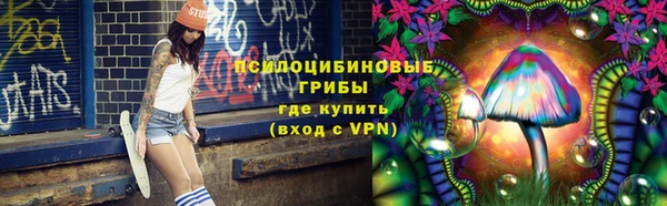 трава Арсеньев